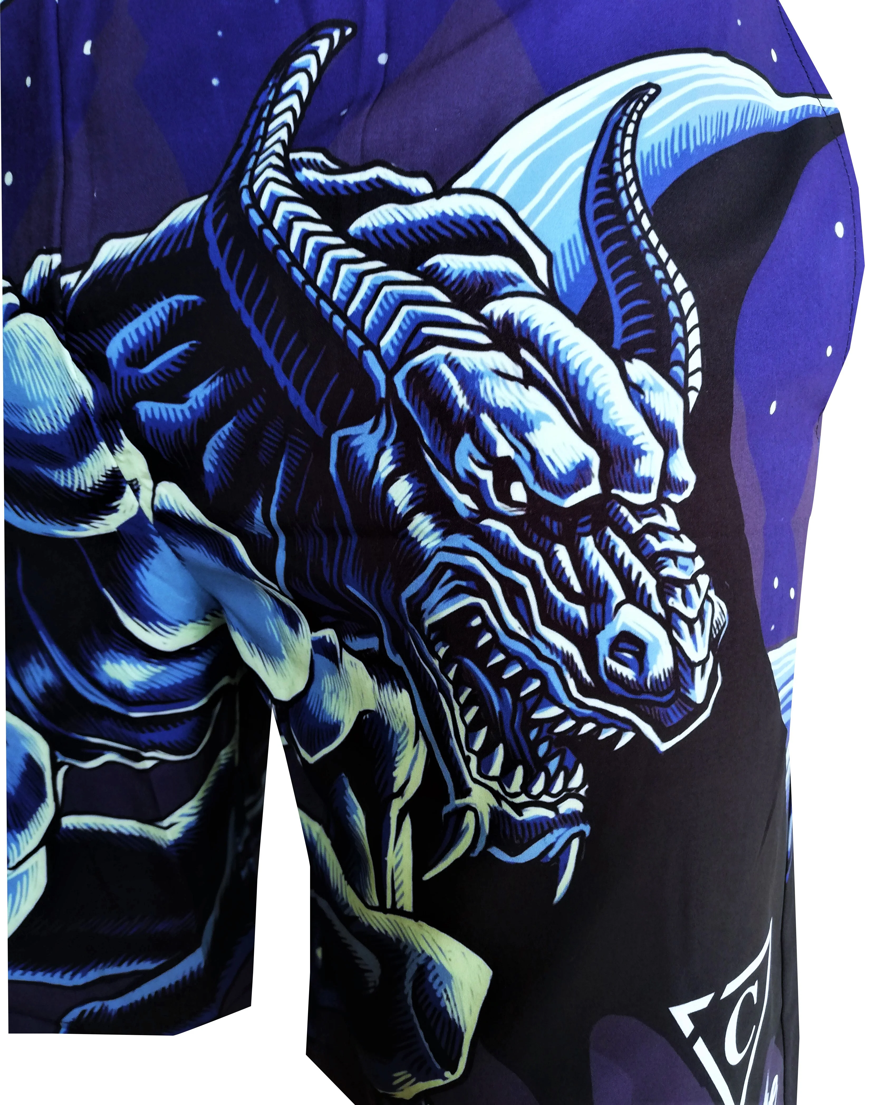 Gargoyle Swim Short - Blue - Image 4