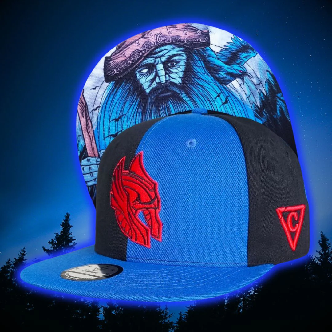 Odin Snapback - 50/50 Black/Blue - Image 12